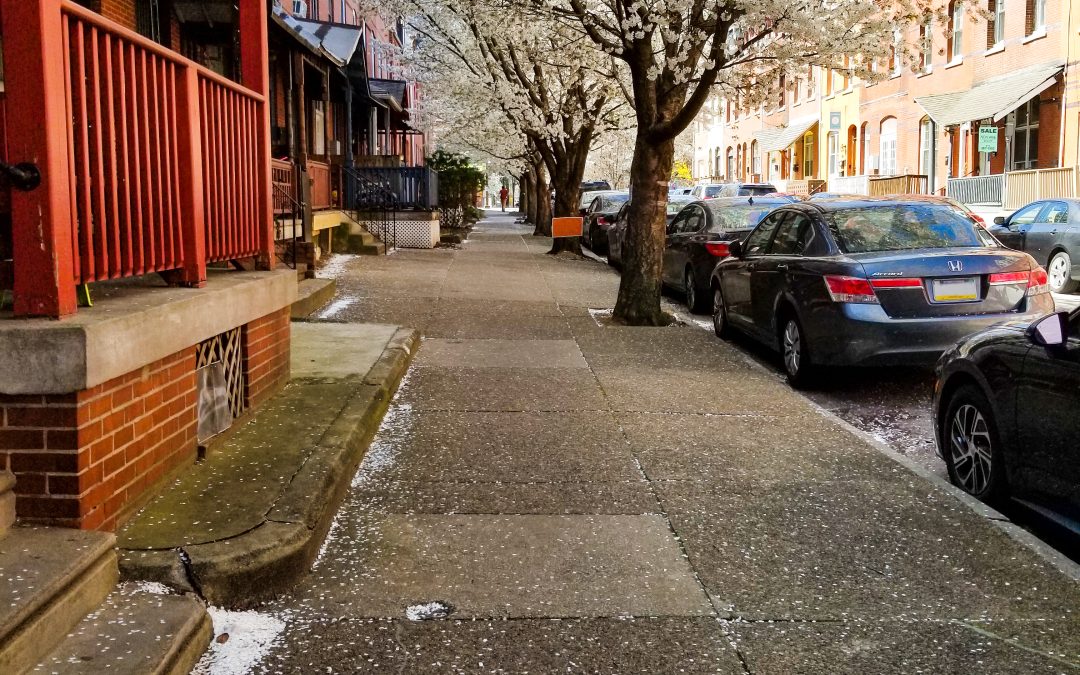 Philadelphia Needs More Trees